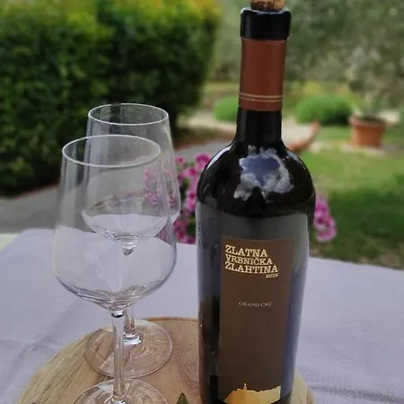 Knezevic * פוסדריה