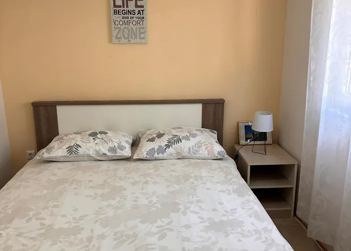 Apartman Knezevic *